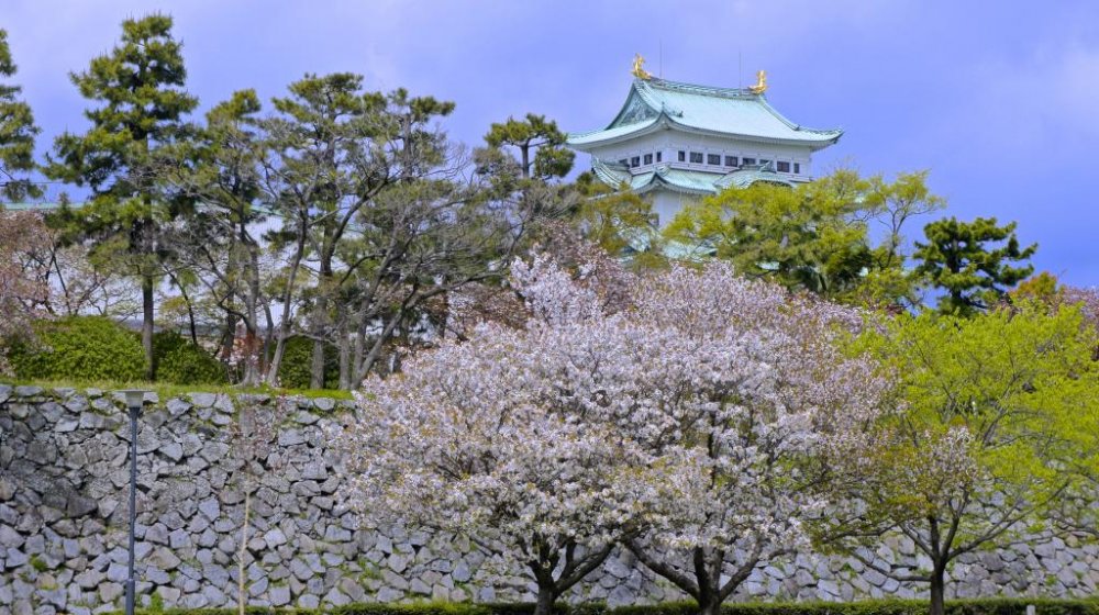 Nagoya Castle and the flowers&mdash;when culture and nature melt into eachother