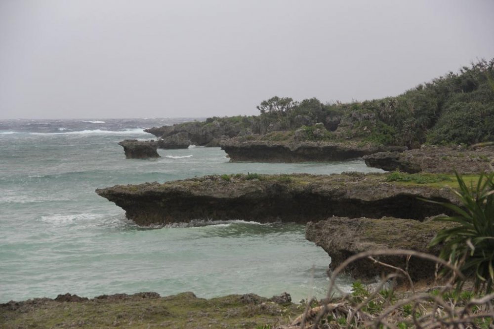 Phía xa ngọn hải đăng là vách đá san hô mềm mại và biến thành những bãi biển đánh dấu vùng bở biển phía Nam của mũi đất