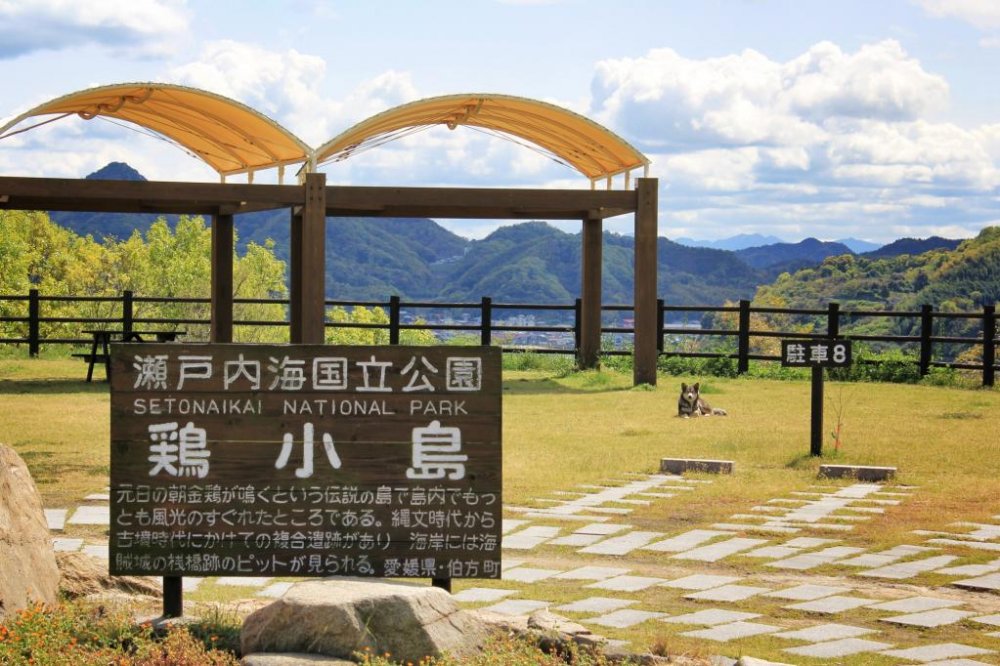 Parking spaces for the Niwatori Kojima Campsite and Beach