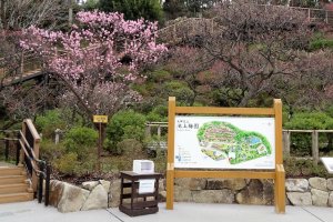 สวนพลัมอิเคะกะมิ ไบเอ็น (Ikegami Baien) เป็นสวนที่มีต้นพลัมญี่ปุ่นประมาณ 470 ต้น