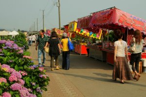 Food stalls lining the narrow lanes among the rice paddies