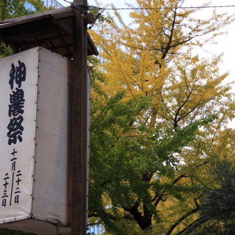 Festival Shinno-sai (22-23 Nov)