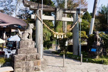 To get to the spring, you first pass under these torii gates