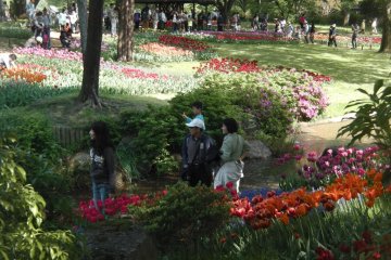 People making their way through the paths of flowers