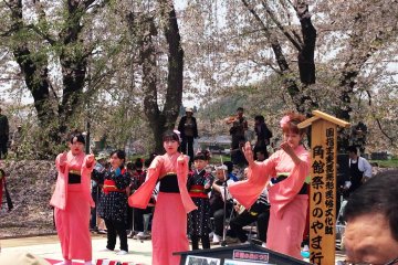 Фестиваль сакуры в Какунодатэ 2024 [Cancelled]