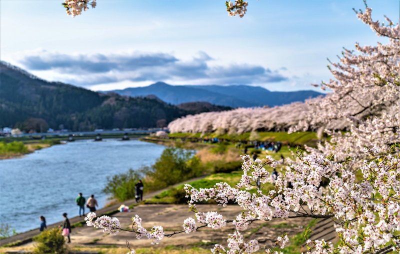 Springtime in Akita