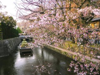 Barely visited section of Kiyamachi with beautiful trees, streets, and buildings