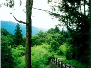 เดินไปบนเส้นทางที่ห่างไกลผู้คนไปสู่หมู่บ้านซึตมะโกะและหมูบ้านมะโกะเมะ