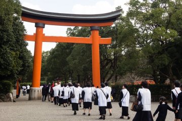 Group of Japanese pilgrims passing under the first torii; there will be many more gates ahead