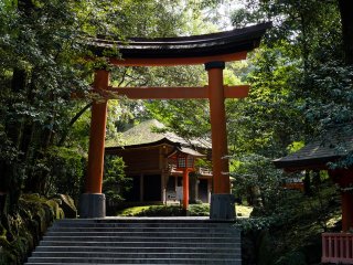 Torii leading to one of the side structures