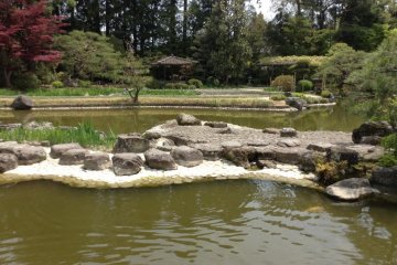 View of the koi ponds. There are also tadpoles and turtles that call the garden ponds home.