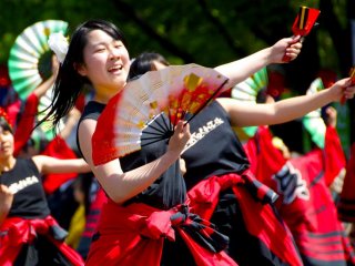 Fans and Clappers are Yosakoi dance parade tradtions