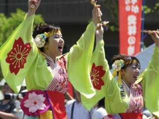 Yellow Kimonos were so striking with the bright green trees and blue skies