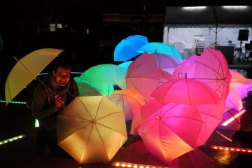 Tokushima LED Art Festival