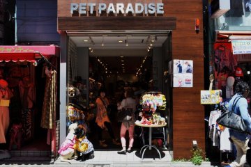 Pet fashion shop in Harajuku