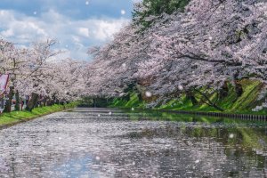 Hướng dẫn về khí hậu & thời tiết: Khi nào nên du lịch Nhật Bản?