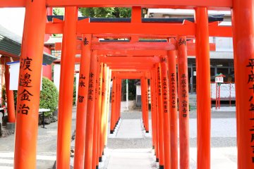 Similar to the Grand Shrine in Kyoto, there are also Torii gates here