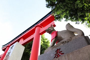 Kitsune (fox) guarding the main entrance
