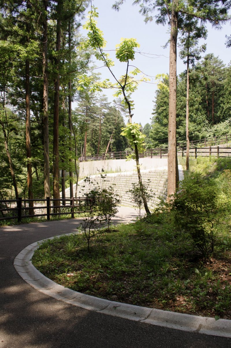 Path from the Junisawa Parking Lot