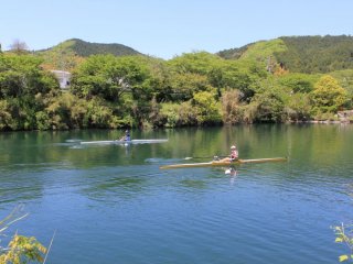 Những chiếc thuyền của câu lạc bộ chèo thuyền ở trường đại học Matsuyama là cảnh tượng thường thấy trên hồ 