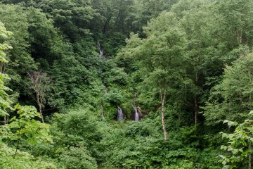 Водопад между деревьев