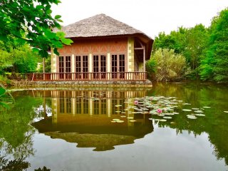 Surrounded by the pond, enjoy French cuisine during the lunch hours of 11:00am to 2:00pm