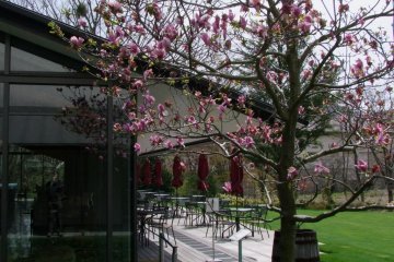 The Lalique Museum garden