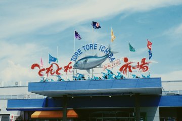 Toretore Fish Market has a ton of fun things to do. 