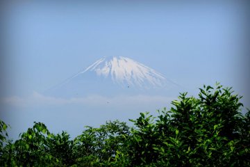 View of Mt. Fuji from the Otome pass trail