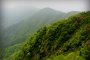 เดินป่าขึ้นภูเขาคินโทะกิ ในฤดูใบไม้ผลิ