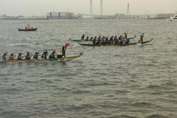 Powering their way across the water