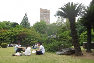 <p>สวนในมหาวิทยาลัย</p>