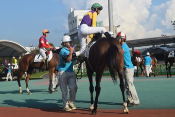 You can check the horses for form - or simply see what color jockey's silks catch your eye!