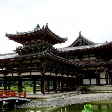 Byōdō-in Temple, Uji