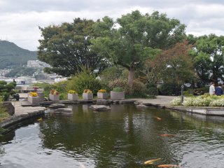 So be sure to have a go at feeding the koi at the pond!