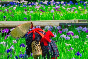 Yokosuka Iris Garden: ladies weeding
