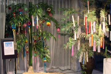 The reception area was decorated with colorful Tanabata decorations during my visit.