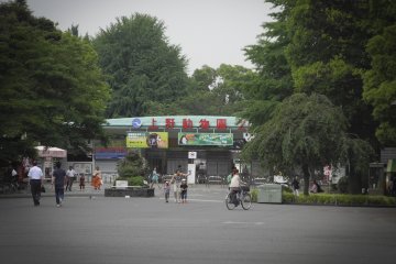 The Ueno Zoo!