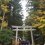 Autumn at Yahiko Shrine