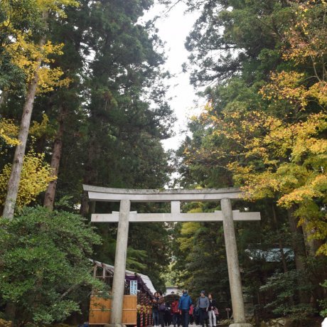 Autumn at Yahiko Shrine