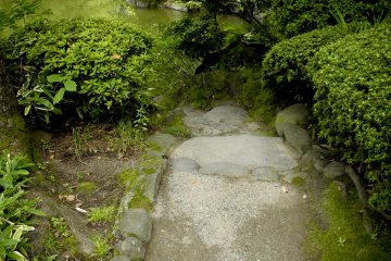 연못을 향한 계단