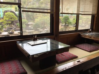 Cozy seating for two with a view of bonsai.