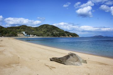 Hakatajima Island