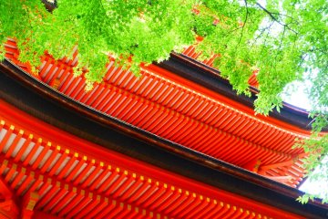 Look up and you'll see the tiny maple leaves which stand out against the color of the pagoda