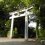 The Miyazaki Shrine Forest - Part 3