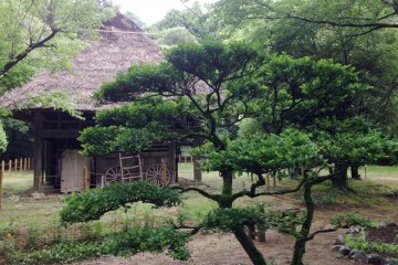 Old samurai house in the Miyazaki Shrine Forest