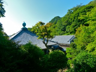 Jinmu-ji Temple is deep in the forest