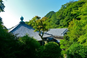 Jinmu-ji Temple is deep in the forest