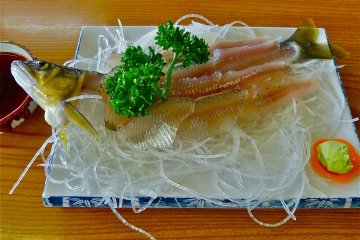 Sweetfish sashimi