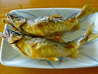 Poissons grill&eacute;s ayu